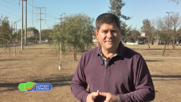 Campo Directo | Programa 447