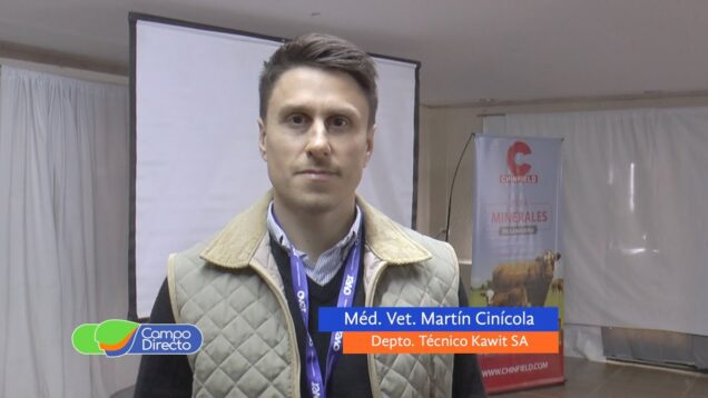 Campo Directo | Trastornos infecciosos y no infecciosos en vacas en transición