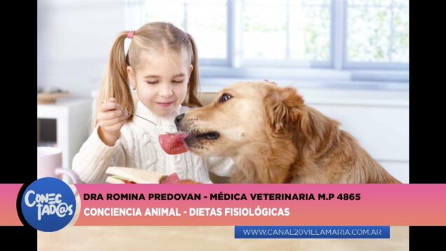Conectadas | Conciencia Animal – Dra. Romina Predovan