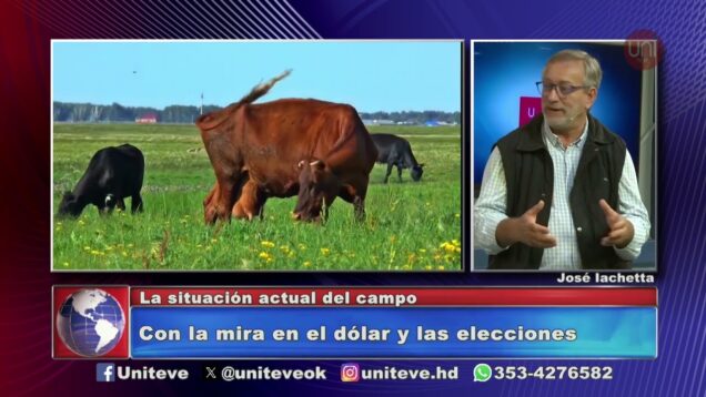 Uniteve Noticias | La situación del campo frente a las elecciones