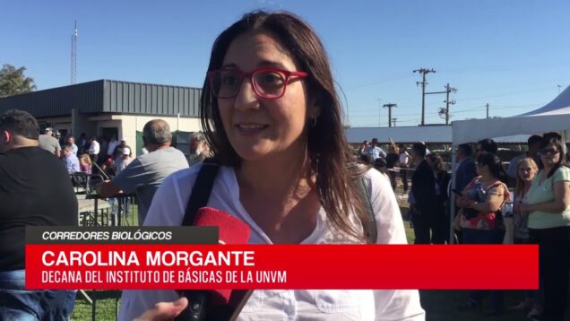 C20 Noticias | Corredores Biológicos – Carolina Morgante
