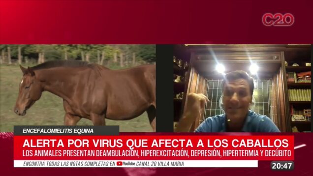 C20 Noticias | Encefalomielitis Equina – Luis Grimaldi