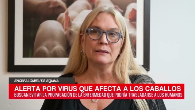C20 Noticias | Encefalomielitis Equina – Ximena Melón
