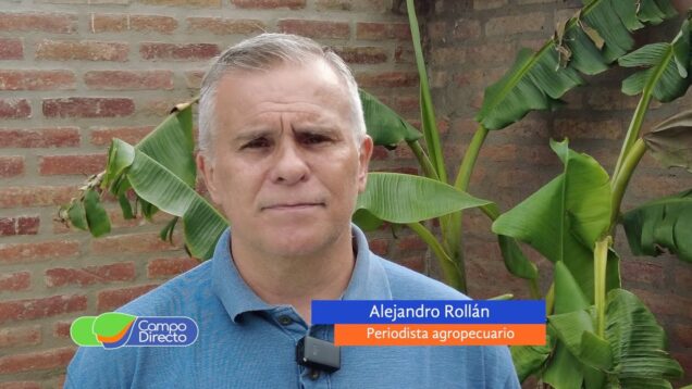 Campo Directo | Fábricas de maquinaria agrícola analizan parar la producción por la falta de ventas