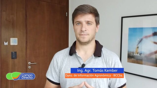 Campo Directo | Las últimas lluvias en la zona centro trajeron algo de alivio a los cultivos estivales