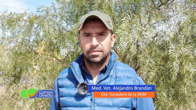 Campo Directo | Reclaman por el ordenamiento territorial en el norte cordobés