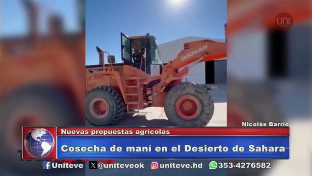 Uniteve Noticias | Cosecha de maní en el Desierto de Sahara – Luciano Aguilar