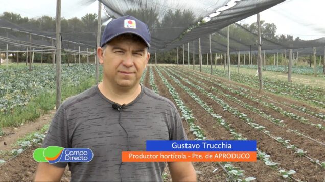 Campo Directo | Así se producen las verduras que consumen los cordobeses
