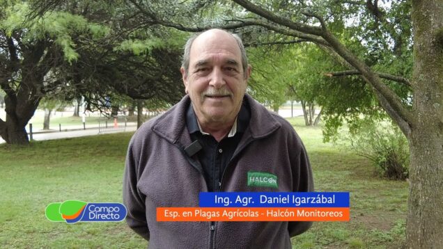 Campo Directo | Las orugas defoliadoras serán protagonistas en la próxima campaña