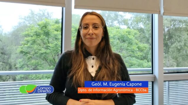 Campo Directo | Mejoró la disponibilidad hídrica en la zona núcleo