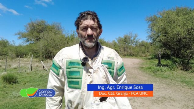 Campo Directo | Participamos de una nucleada en el apiario de la FCA UNC HD 1080p