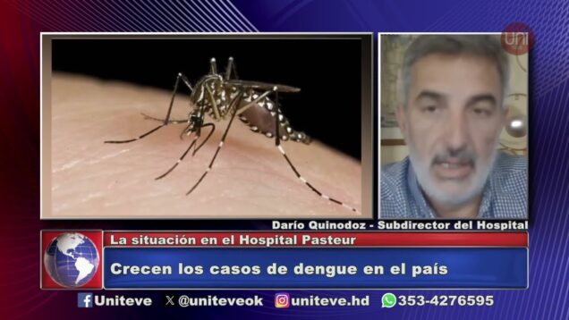 Uniteve Noticias | Crecen los casos de dengue en el país