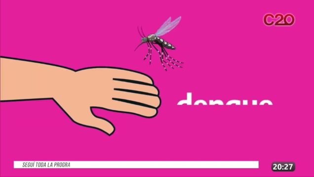 C20 Noticias | Casos de Dengue – Dario Quinodoz