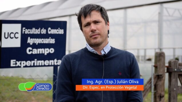 Campo Directo | Especialización en Protección Vegetal – UCC