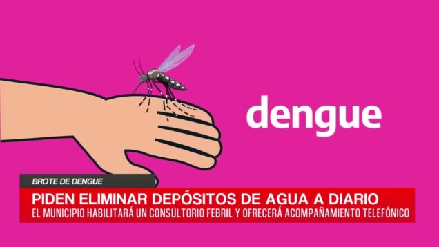 C20 Noticias | Brote de Dengue – César Rivera