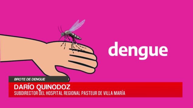 C20 Noticias | Brote de Dengue – Darío Quinodoz
