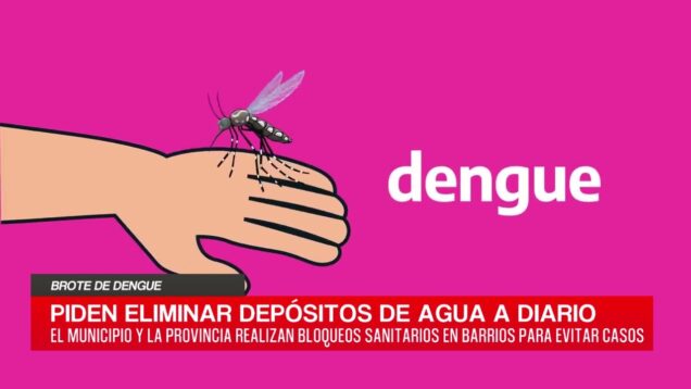 C20 Noticias | Brote de Dengue – Julián López