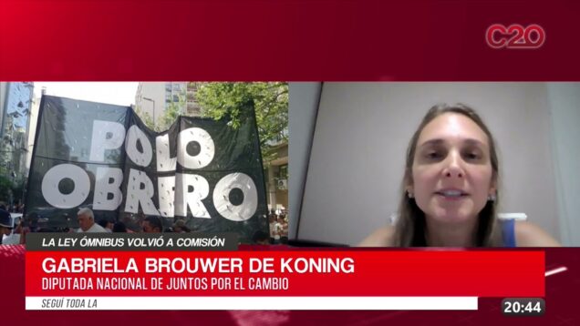 C20 Noticias | Ley Ómnibus – Gabriela Brouwer de Koning