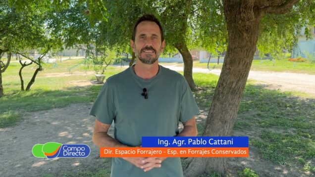 Campo Directo | Alfalfa y lluvia, cortar o esperar un poco más – Pablo Cattani