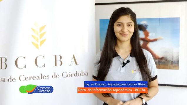 Campo Directo | Análisis Agrometeorológico de la BCCBA