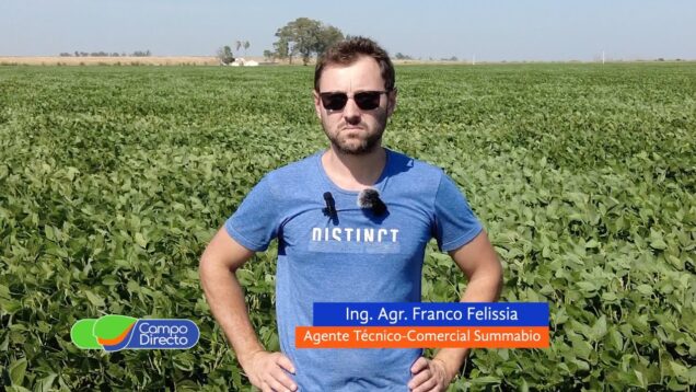 Campo Directo | Beneficios de producir con biológicos – Franco Felissia
