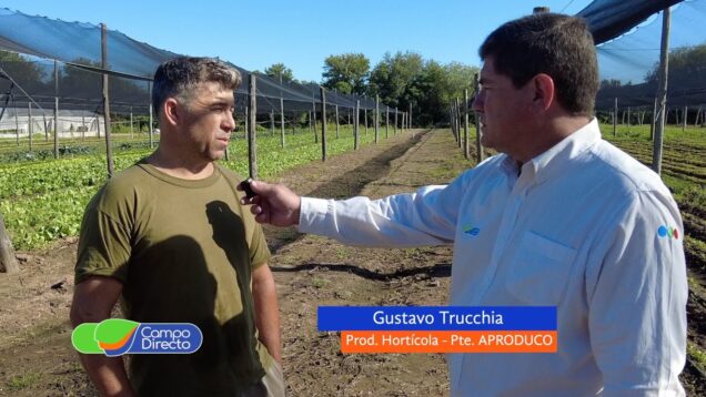 Campo Directo | Ola de calor