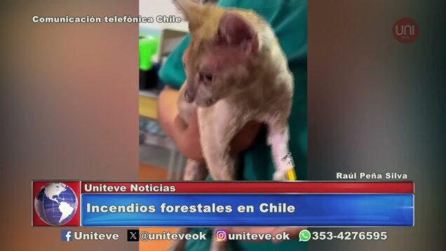 Uniteve Noticias | Incendios forestales en Chile: ascienden a 122 los muertos