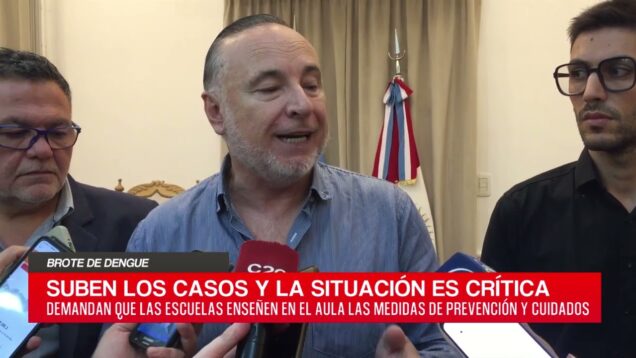 C20 Noticias | Brote de dengue – Eduardo Accastello