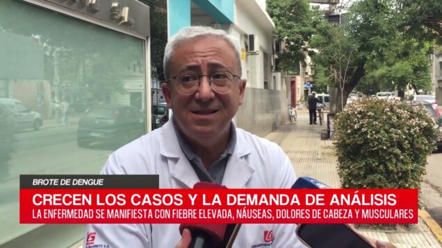 C20 Noticias | Brote de dengue – Pablo Gornitz