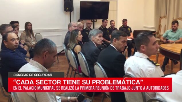 C20 Noticias | Consejo de seguridad – Fernando Jones