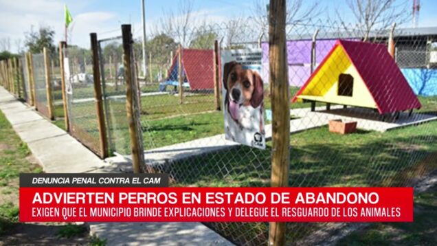 C20 Noticias | Denuncia Penal Contra El Cam  – Pablo Vera