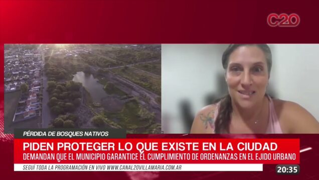 C20 Noticias | Pérdida de bosques nativos – Ana Guzman