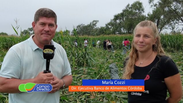Campo Directo | Chocleada solidaria para 560 organizaciones sociales