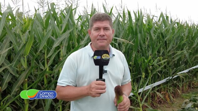 Campo Directo | Programa Campo Directo 472 23-03-2024