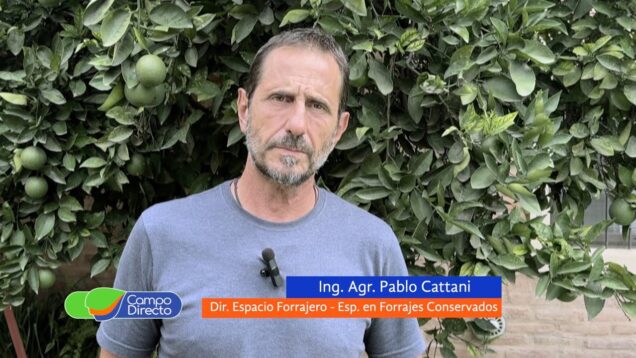 Campo Directo | Variabilidad y trazabilidad en silos – Pablo Cattani