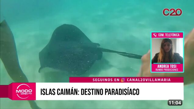 Modo Directo | Islas Caimán – Andrea Tosi
