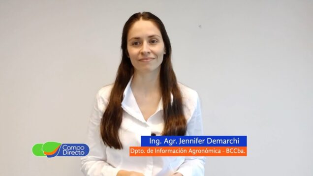 Campo Directo | Análisis Agrometeorológico de la BCCBA 26-04-2024