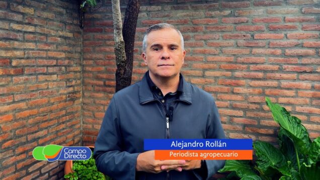 Campo Directo | La producción porcina amenazada por la importación