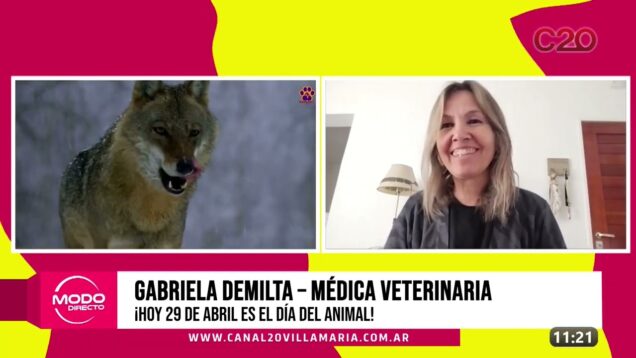 Modo Directo | Día del animal – Gabriela Demilta