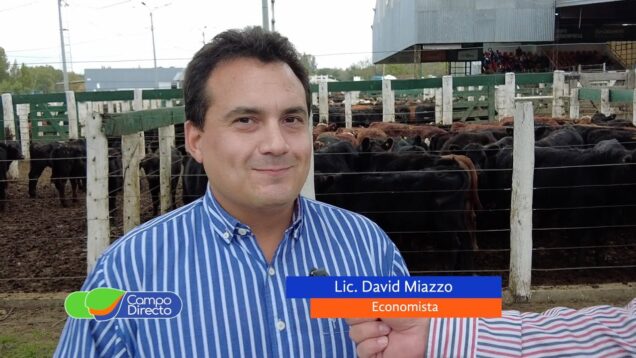 Campo Directo | El negocio ganadero ante el nuevo escenario político y económico