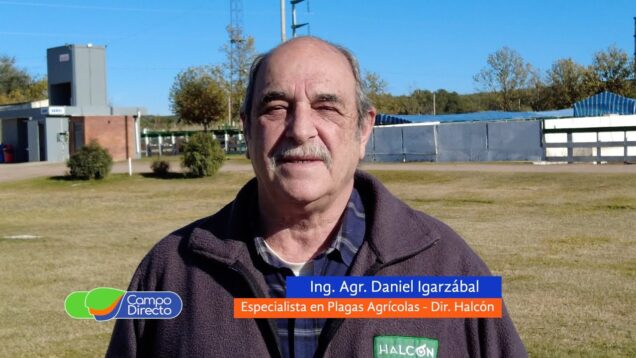 Campo Directo | Llega el 19° Encuentro nacional de monitoreo y control de plagas, malezas y enfermedades