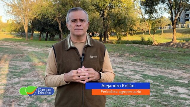 Campo Directo | Los números del trigo 2024/2025 en Córdoba