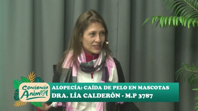 Conciencia Animal | Alopecía – Caída del pelo en mascotas – Dra. Lía Calderón – M.P 3787