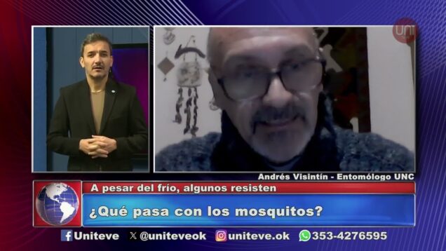 Uniteve Noticias | Los mosquitos se resisten el frío