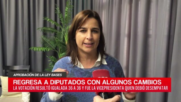 C20 Noticias | Aprobación de la ley bases – Soledad Carrizo