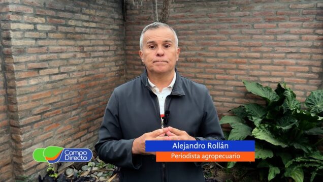 Campo Directo | Cuota Hilton: una de cal y una de arena