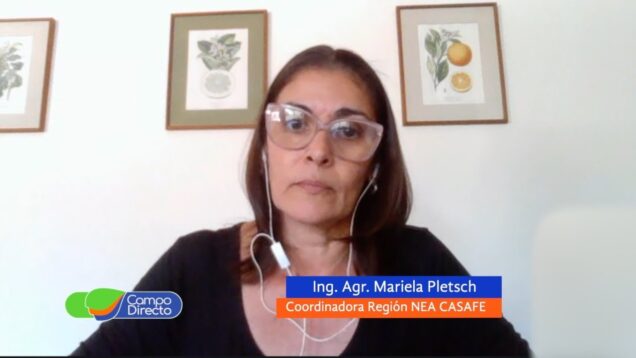 Campo Directo | “Frío no te tengo miedo”, dijo el mosquito