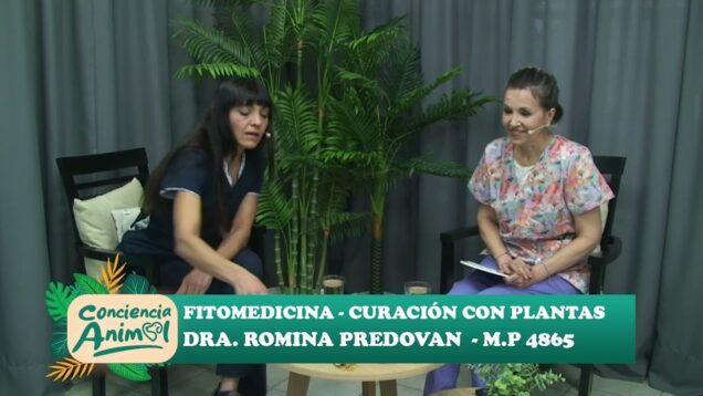 C20 Noticias | Conciencia animal – Dra. Romina Predovan