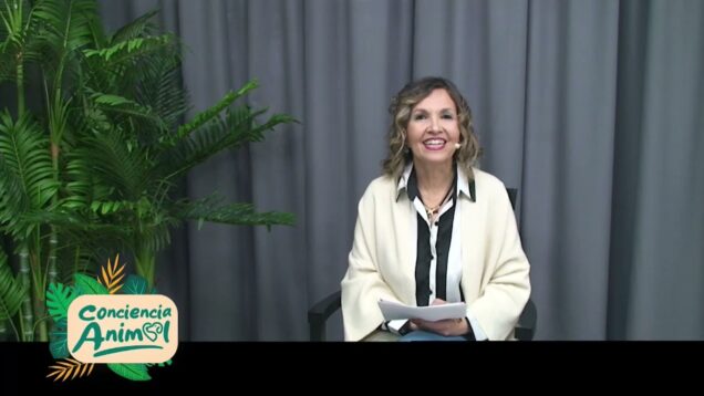 C20 Noticias | Conciencia Animal – Dr. Carlos Gutiérrez