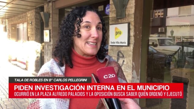 C20 Noticias | Tala de Robles en B° Carlos Pellegrini – Natalia González